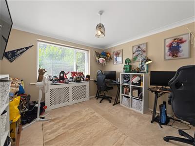 Picture 11